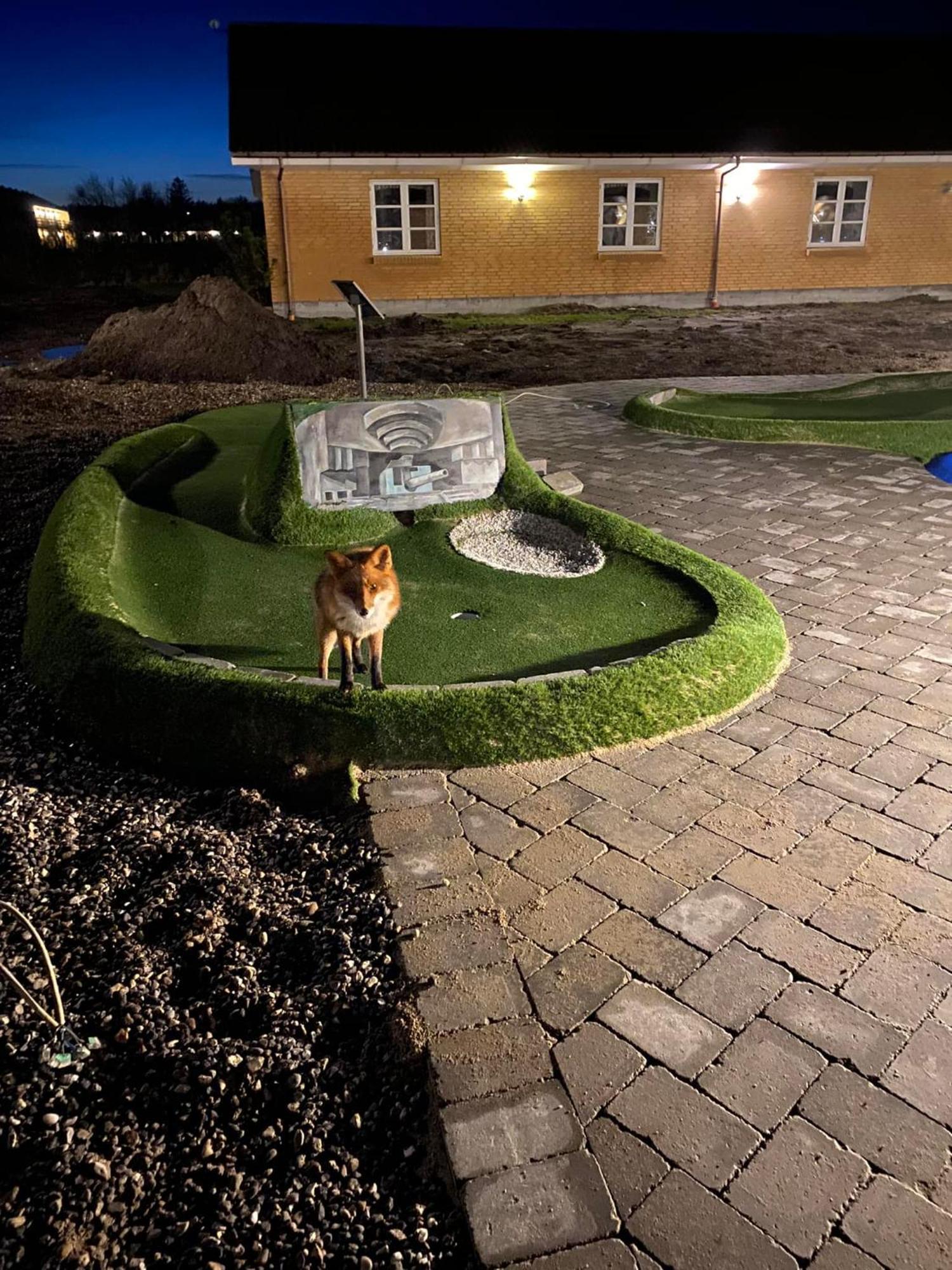 Rønnes Hotel Fjerritslev Eksteriør bilde